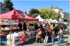 2024-11-10-Festa-in-paese-17