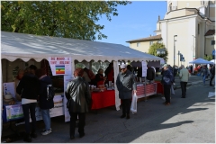 2024-11-10-Festa-in-paese-18