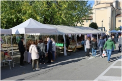 2024-11-10-Festa-in-paese-2